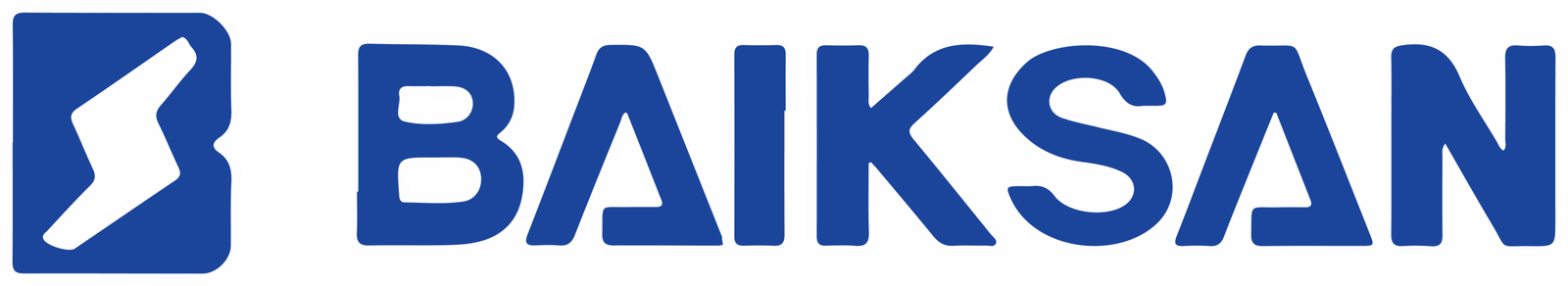 LOGO BAIKSAN-01